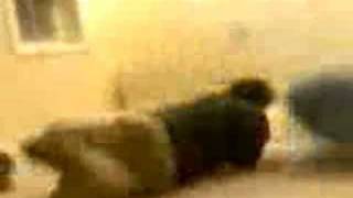 Dumb kid fail at being a seal