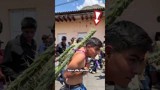 لماذا يحمل هؤلاء الناس الصبار؟ 🤔