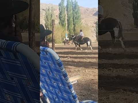 Fiesta de la Esquila y el queso. Paraje Los Guañacos. Neuquén. Argentina