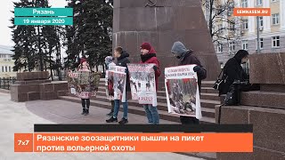 Пикет рязанских зоозащитников против вольерной охоты