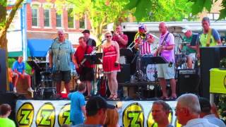 Jif and the Choosy Mothers/HonkyTonk Woman Marion Park 6 9 16