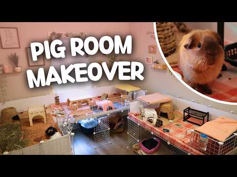 I Completely Transformed My Guinea Pig Room 😱🐹
