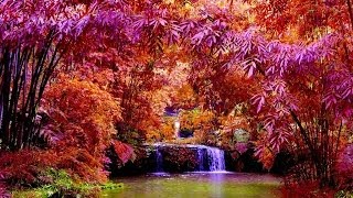 I&#39;LL BE YOURS MY LOVE - (Lyrics)