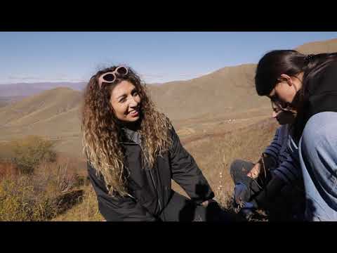 Ծառատունկ՝ մեծ անտառ ստեղծելու նպատակով