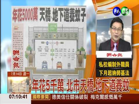 年花5千萬 北市天橋.地下道養蚊