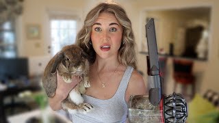 Revamping the Bunny Room: Deep Clean Edition!