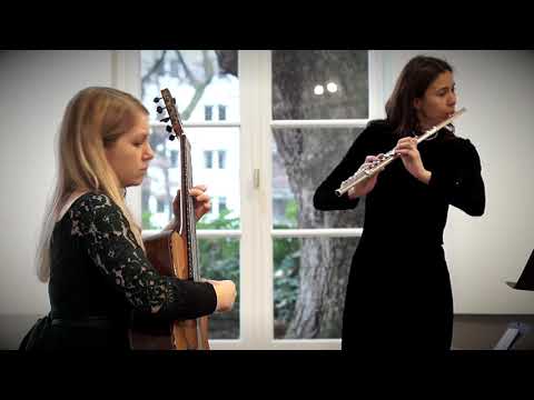 Mikhail Glinka - Nocturne "La separation" for Flute and Guitar