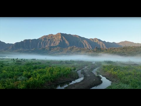Wai Aukahi (Free-Flowing Waters)
