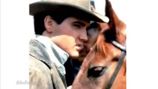 Elvis Presley - Just Call Me Lonesome (remix)