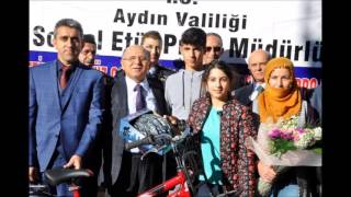 "VALİ" NE İŞE YARAR?