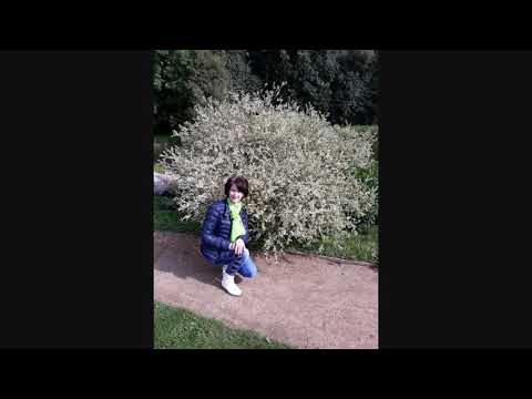 Vārme dažās bildēs.