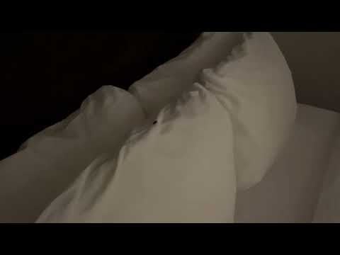 Quality Inn - Cashback and total refund - Image 6