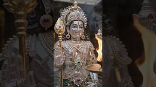 Download lagu ஆயிரக்கணக்கான படிகக் கற்களில் உருவான 7 அடி முருகன்! 💎🔱 #shorts #shortsfeed #viral #devotional #god mp3