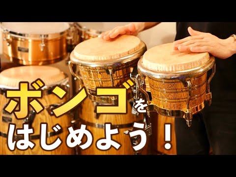 ボンゴを始めたくなったら一番最初に見る動画！【基礎知識＆入門ガイド】