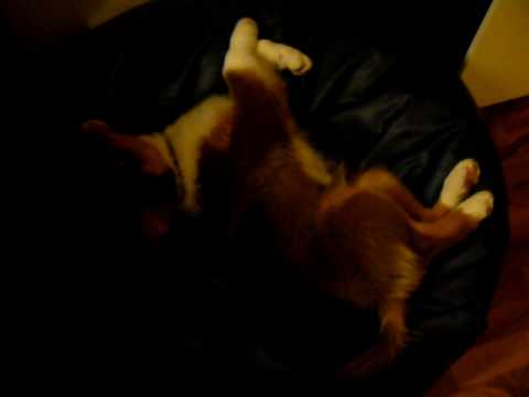 Kjell entdeckt seine Stimme