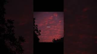 Download lagu Agar Tum Saath Ho Slowed And Reverb 💕|| Agar Tum Saath Ho 🥀|| Aesthetic Status 🕊️✨ #shorts mp3 Download lagu Agar Tum Saath Ho Slowed And Reverb 💕|| Agar Tum Saath Ho 🥀|| Aesthetic Status 🕊️✨ #shorts mp3