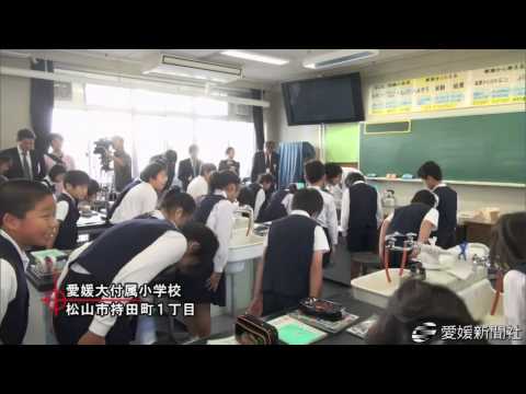 Saitamadaigakukyoikugakubufuzoku Elementary School
