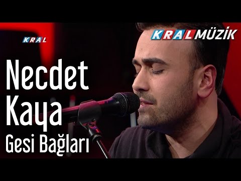 Necdet Kaya - Gesi Bağları