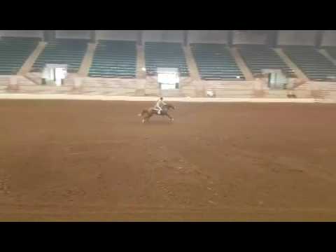 Georgia 4H State 2017 Champion Arena Race
