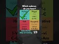 Musical Cadences 1