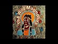 The Wild Magnolias With The New Orleans Project - Corey Died On The Battlefield
