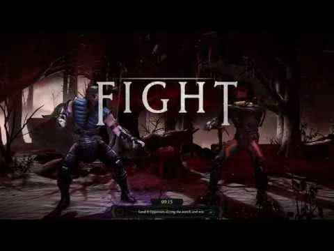 Mortal Kombat X Sub-Zero Flawless Victory Gameplay!
