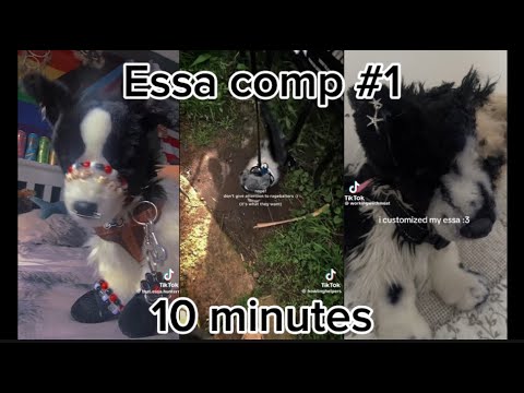 Essa TikTok comp #1 10 MINUTES 