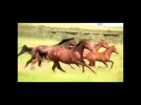 Look at the World - Mormon Tabernacle Choir