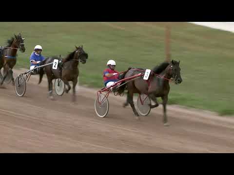 2021.08.21. 04. futam - PIKOLÓ HENDIKEP