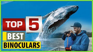 Top 5 Best Binoculars for Whale Watching, According to Marine Biologists