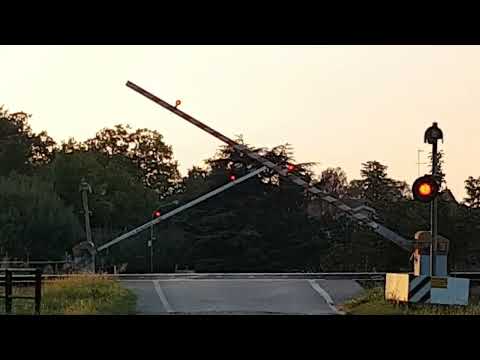 Passaggio a livello n.12 - Migliaro - Via Punta km 39+070