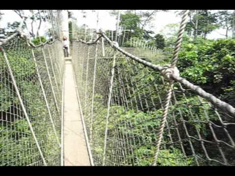 Kakum National Park Canopy Walk - Scared