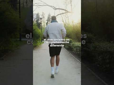 Alejandro Serrano Rubio-87
