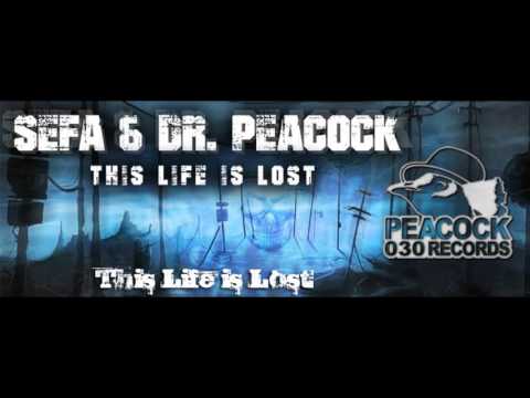 Dr. Peacock & Sefa - This Life is Lost [High Quality]