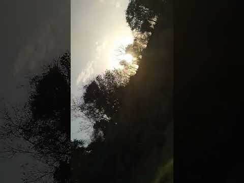 #sohani #jojo #Love of My Life 💕💕💕🥰🥰🥰🥰😆😆