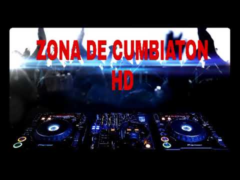 LA LEY ANTI PERREO🎼🎼🎧🎧