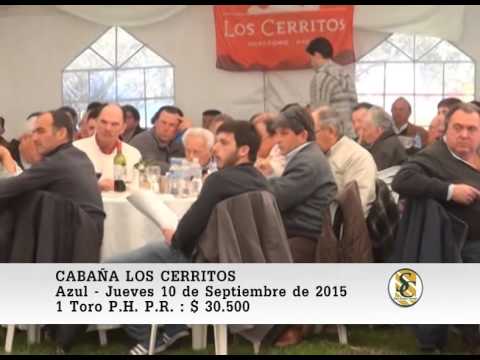 10-09-15 Venta de Toros P.C. y P.R.  - Cabaña Los Cerritos - Azul