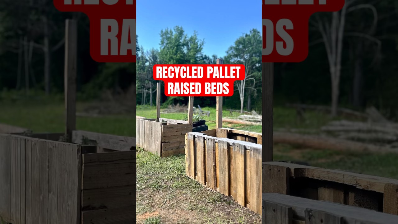 DIY Raised Garden Bed from Recycled Pallets | Easy and Eco-friendly! #homesteading #farmlife