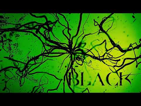 Michael Romeo - Black (Official Lyric Video)