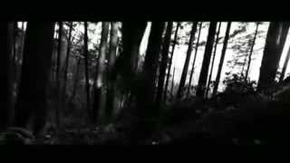 Bella&#39;s music video Robert Pattinson(New Moon)