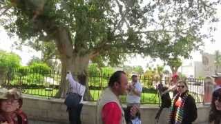preview picture of video 'Jericho - Zacchaeus climbed up into a sycamore tree. Tour Guide: Zahi Shaked.  April 2, 2014'