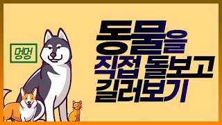 [초등실과][클립아트 강의] 5학년 1학기/동물🐶 🐱을 직접 돌보고 길러보기