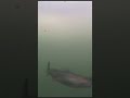 Video Thumbnail for Underwater Rainbow Trout HOOK UP (Early Ice)