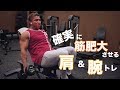 減量開始まであと少し、肩と三頭を確実にデカくする