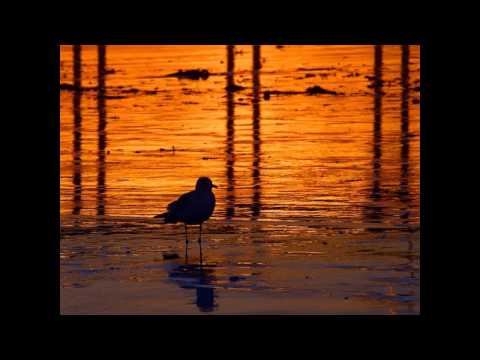 Axel Boman - ABBA 002