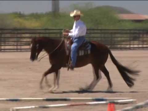 CREEKS CRUISER by Mark Sheridan Quarter Horses