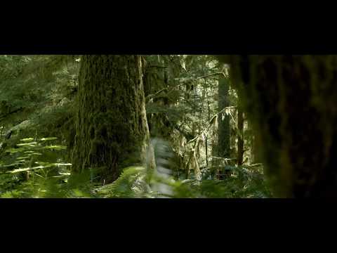 Blackmagic Pocket Cinema Camera 4K ‘Nature’