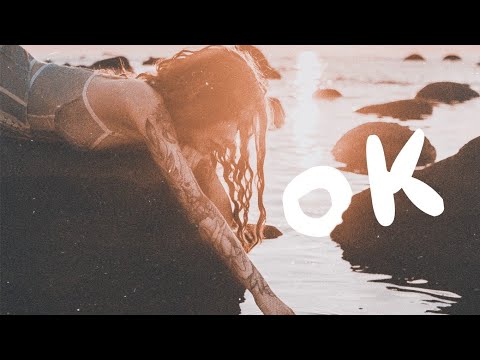 Alan Walker x JOP - OK (Lyrics)
