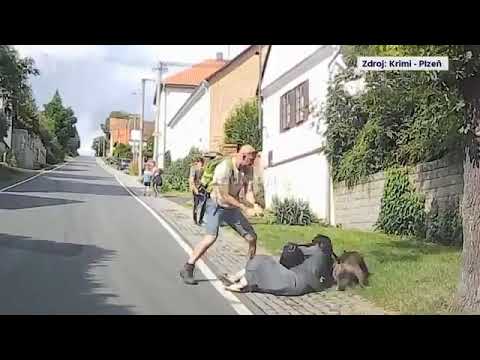 アメリカン・ピット・ブル・テリア