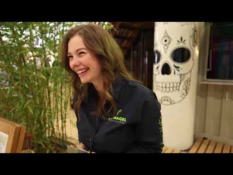 Steinnagel x Salitos BEACHWORLD Internorga 2022